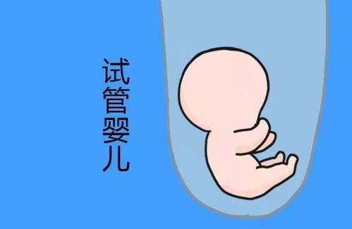 供卵代孕公司
